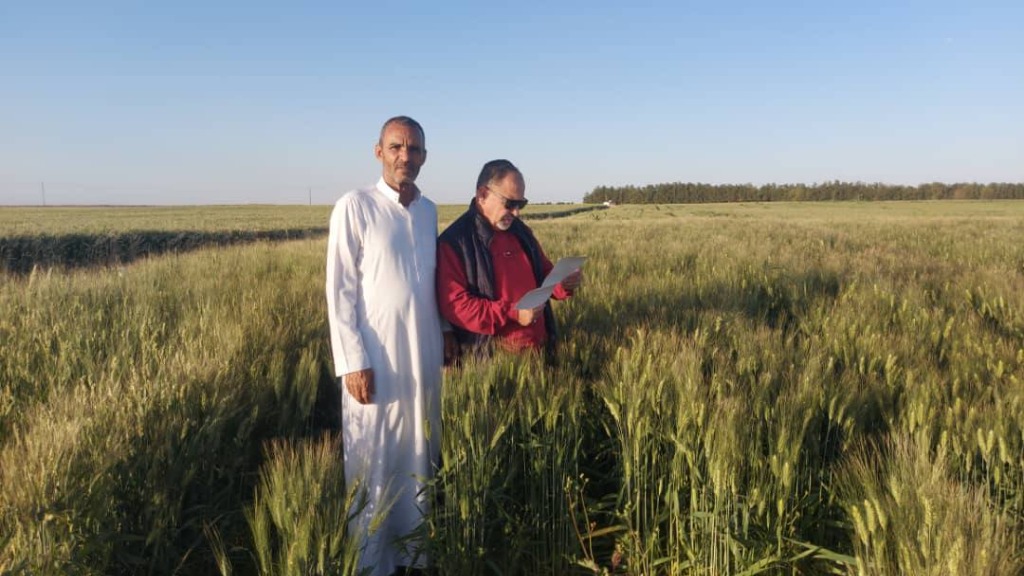ACM Presence in Algerian Wilayas